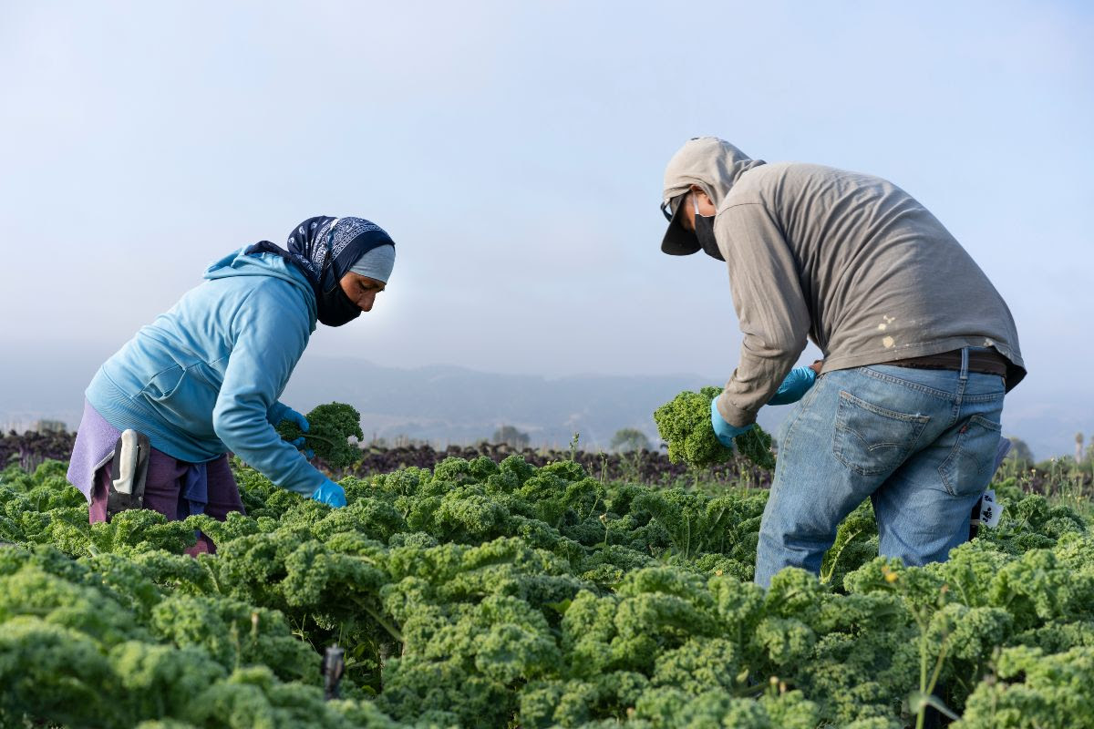 CA BIPOC Farmer & Land Steward Relief Fund Collaborative
