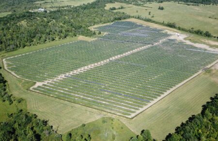 An array of solar panels in a green field surrounded by forest