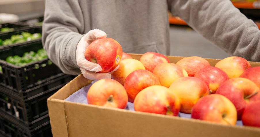 Fruit packing by Organically Grown Company